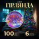 Гірлянда Нитка 100 LED, 6 метрів прозора, Разноцветный W100LEDML фото 1