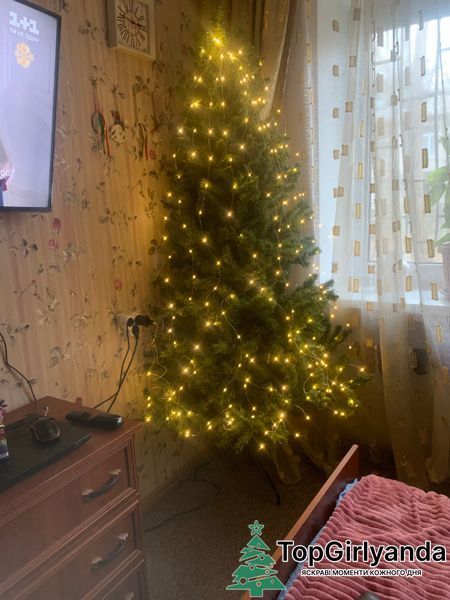 Кінський хвіст USB, 200 LED, 8 режимів, пульт ДУ, 10 ниток, 2 метри, Холодний білий 0044 фото