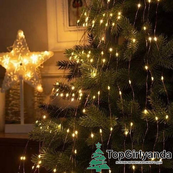 Кінський хвіст USB, 200 LED, 8 режимів, пульт ДУ, 10 ниток, 2 метри, Теплий білий 0038 фото